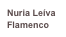 Nuria Leíva
Flamenco